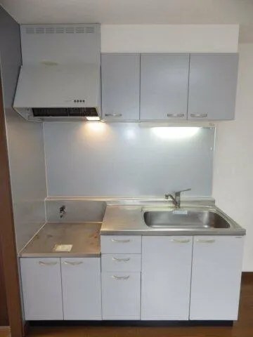 Pine Crest Fujimidai - Interior - ["Kitchen Sink", "Kitchen Appliance", "Sink"]