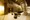 Voie Lactee Nishiwaseda - Exterior - ["Architecture", "Building", "Interior design"] thumbnail
