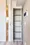 Proud Flat Nishikamata - Interior - ["Wood", "Flooring", "Floor"] thumbnail