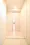 Grand Paseo Kiyosumi Shirakawa II - Interior - ["Flooring", "Floor", "Wood"] thumbnail