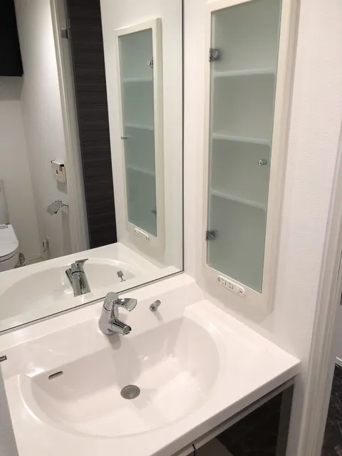 BPR Residence Yoyogi - Interior - ["Mirror", "Tap", "Sink"]