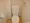 Comforia Ginza East - Interior - ["Toilet seat", "Toilet", "Plumbing fixture"] thumbnail