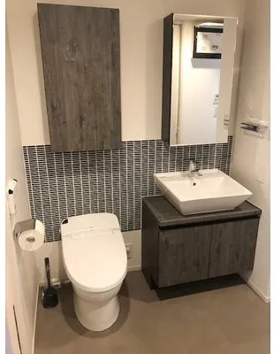 Maison Vista Shibuya Udagawa - Interior - ["Plumbing fixture", "Toilet seat", "Sink"]