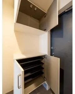 River City 21 East Towers II - Interior - ["Wood", "Flooring", "Shelving"]