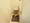 Zinnia Fukagawa Sumiyoshi - Interior - ["Toilet", "Urinal", "Plumbing fixture"] thumbnail