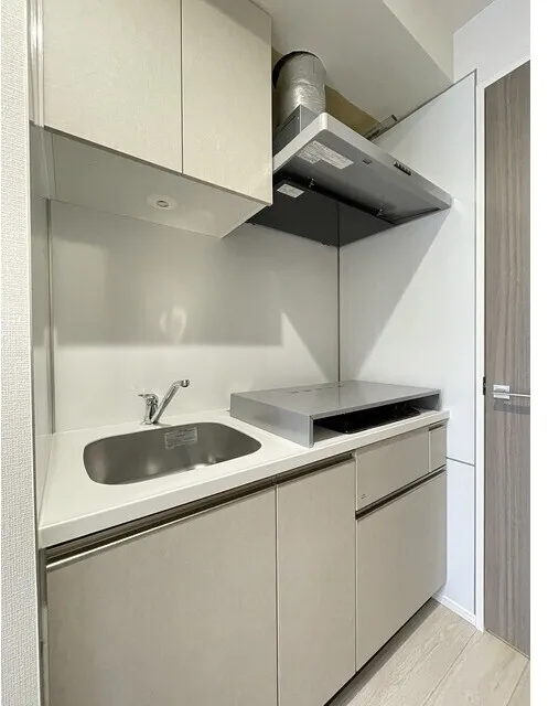 Daffitto Kinshicho - Interior - ["Kitchen", "Countertop", "Kitchen Sink"]
