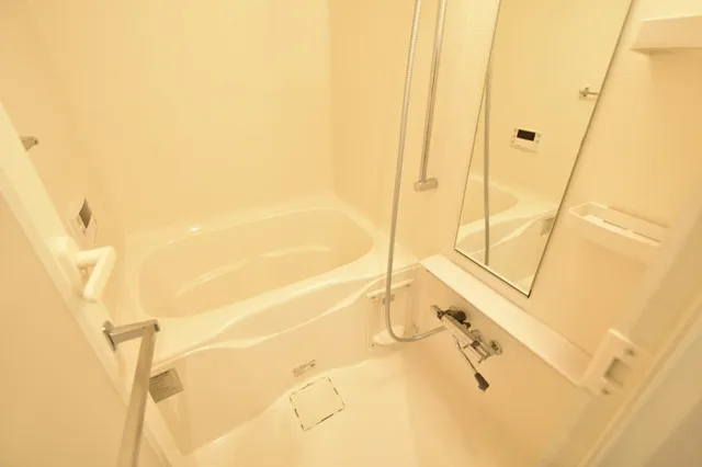 Grand Paseo Kiyosumi Shirakawa II - Interior - ["Bathroom", "Plumbing fixture", "Flooring"]