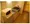 Saint Emilion Otemachi North - Interior - ["Major appliance", "Kitchen Appliance", "Kitchen"] thumbnail
