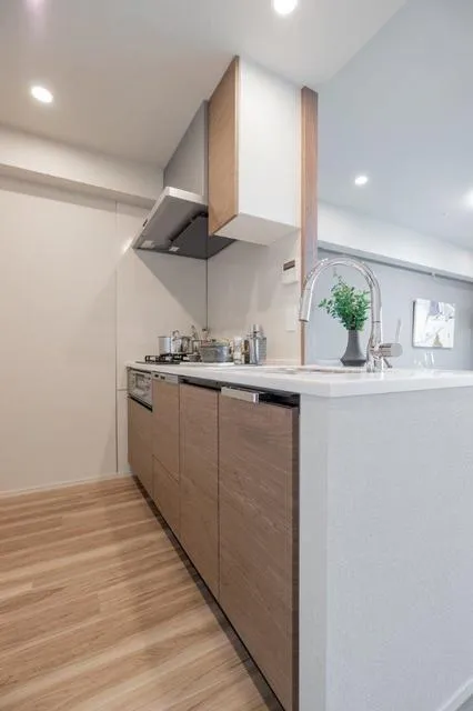 Geoent Shirokanedai - Interior - ["Kitchen", "Countertop", "Flooring"]