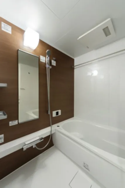 Horinouchi Mansion - Interior - ["Bathtub", "Building", "Plumbing fixture"]