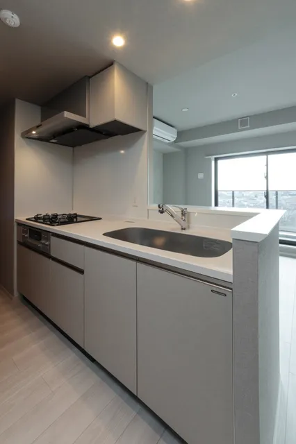 Terra Silk Forest - Interior - ["Floor", "Kitchen", "Ceiling"]