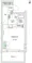 Stylio Ikegami WeLL - Floor Plan - ["White", "Diagram", "Floor plan"] thumbnail
