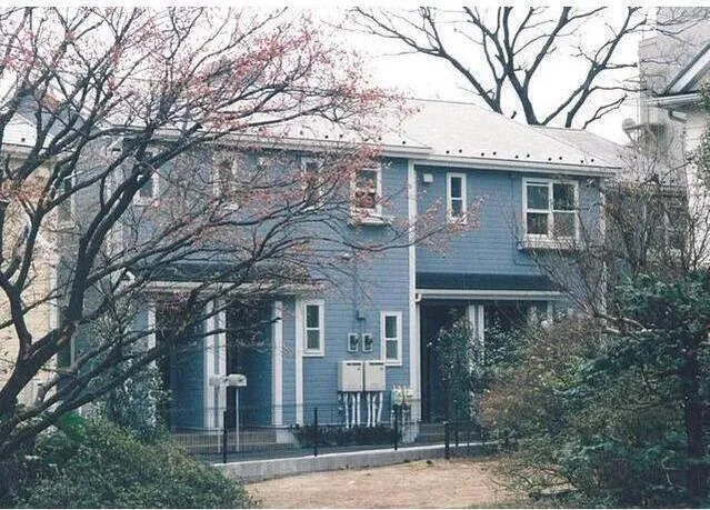 Ks Flat - Exterior - ["Plant", "Property", "Building"]