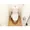 Comforia Honkomagome - Interior - ["Plumbing fixture", "Toilet seat", "Toilet"] thumbnail