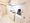 Mynavi Stay Osaki 2 - Interior - ["Flooring", "Floor", "Major appliance"] thumbnail