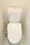 Comforia Fudomae - Interior - ["Toilet", "Toilet seat", "Plumbing fixture"] thumbnail