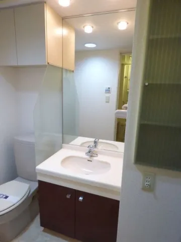 Towa Roppongi Homes - Interior - ["Bathroom Sink", "Plumbing fixture", "Sink"]
