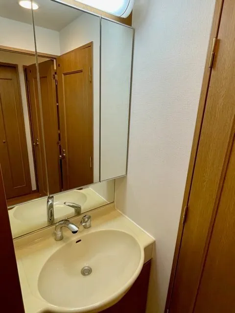 Residia Ueno Ikenohata - Interior - ["Mirror", "Brown", "Tap"]