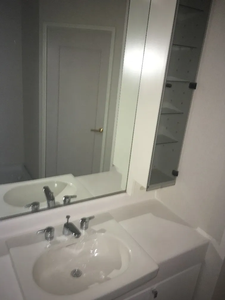 Wilterrace Minami Otsuka - Interior - ["Mirror", "Tap", "Sink"]