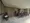 Premier Knotty Yutenji - Other - ["Floor", "Bicycle", "Bicycle tire"] thumbnail