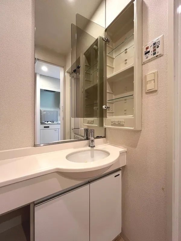 Ecology Toyocho Pro Century - Interior - ["Bathroom Sink", "Plumbing fixture", "Sink"]