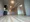 Lefon Progres Shimura Sakaue - Interior - ["Flooring", "Floor", "Wood"] thumbnail