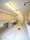Proud Flat Monzennakacho V - Other - ["Ceiling", "Flooring", "Interior design"] thumbnail