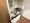 Velstage Kayabacho - Interior - [] thumbnail