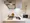 Mynavi STAY Tsukishima - Interior - [] thumbnail