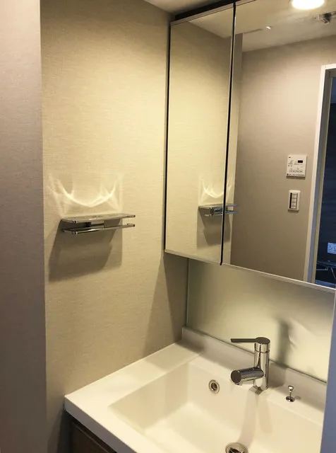 Lefon Progres Minami Otsuka - Interior - ["Mirror", "Tap", "Sink"]