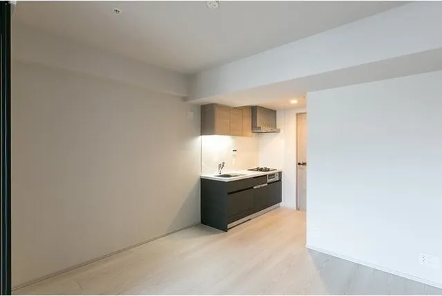 Demes Kiba - Interior - ["Cabinetry", "Lighting", "Wood"]