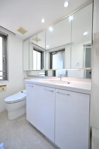 City House Yoyogi - Interior - ["Plumbing fixture", "Interior design", "Sink"]