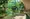Mita Garden Hills South Hill thumbnail