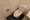 Prime Urban Nagahara Kamiikedai - Interior - ["Toilet seat", "Toilet", "Plumbing fixture"] thumbnail