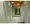 T.Brand Setagaya - Exterior - ["Wood", "Flooring", "Floor"] thumbnail
