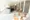 White Tower Hamamatsucho - Exterior - ["Flooring", "Floor", "Wood"] thumbnail