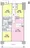 Ambiente Kyodo - Floor Plan - ["Floor plan", "Plan"] thumbnail