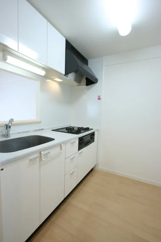 Castalia Hatsudai - Interior - ["Kitchen sink", "Sink", "Cabinetry"]