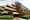 Born Akasaka - Exterior - [] thumbnail