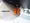 RESIDIA Monzen-Nakacho Place - Exterior - ["Property", "Plant", "Fixture"] thumbnail