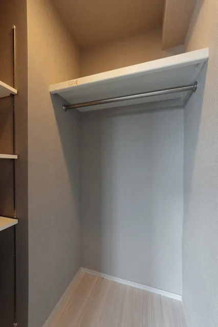 Terra Silk Forest - Interior - ["Grey", "Ceiling", "Shelving"]