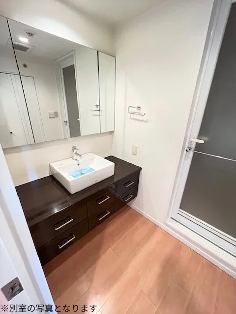 Primegate Iidabashi - Interior - ["Bathroom Sink", "Plumbing fixture", "Flooring"]