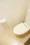 Star Heim - Interior - ["Toilet seat", "Toilet", "Bathroom"] thumbnail