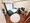 Mynavi STAY Shibuya Shinsencho - Interior - [] thumbnail