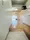 Asakawa Corp. - Interior - ["Fixture", "Door", "Floor"] thumbnail