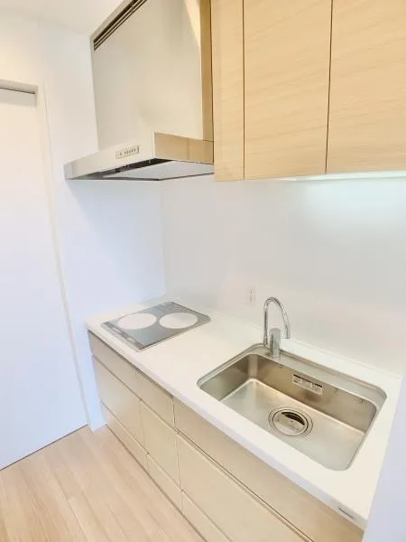 Brillia Ist Nakano Central Park - Interior - ["Tap", "Kitchen sink", "Sink"]