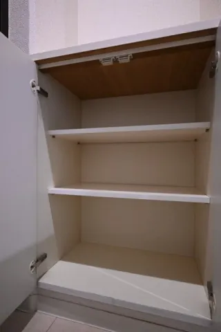Nakagin 2nd Shinbashi Mansion - Interior - ["Wood", "Flooring", "Shelving"]