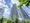 De Tour - Exterior - ["Skyscraper", "High-rise building", "Condominium"] thumbnail