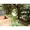 Meguro LFV - Interior - ["Property", "Tree", "Wall"] thumbnail