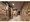 The Park Habio Shimokitazawa - Exterior - ["Building", "Fixture", "Rectangle"] thumbnail